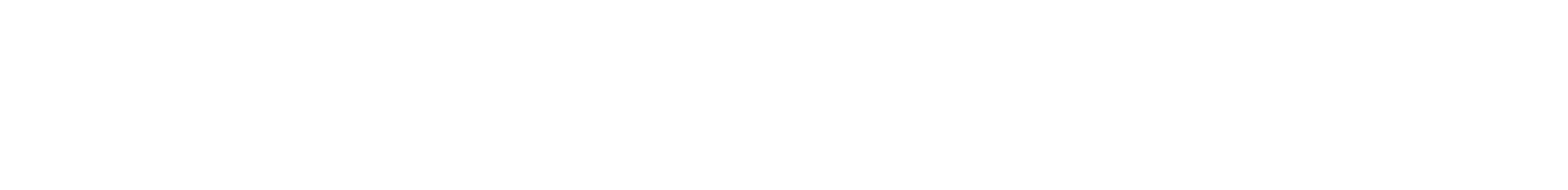 Seiffer & Steiner Logo